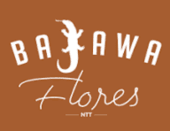 Franchise Kopi Bajawa Flores